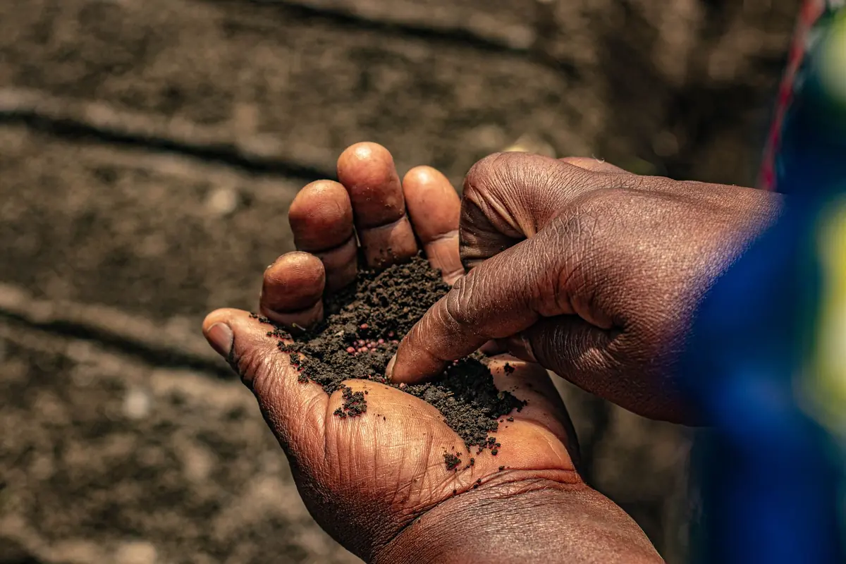 Mani che tengono terreno agricolo